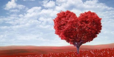 Çiçek Sepeti 14 Şubat Sevgililer Günü indirimleri, kampanyaları 2020