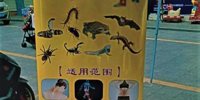 Çin akıllanmıyor! Hala pazarlarda köpekleri kesiyor, yarasa yiyorlar