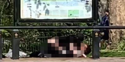 Parkın ortasında bir çift, koronayı umursamadan cinsel ilişkiye girdi