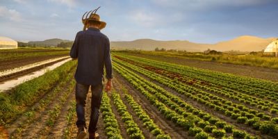 Bakan Pakdemirli açıkladı: Koronavirüs sonrası çiftçiye sanal pazar desteği