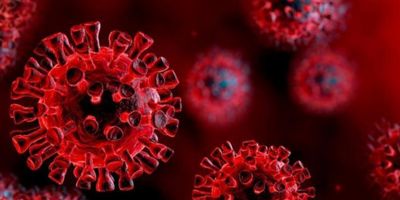 DSÖ'den korkutan açıklama: Koronavirüs tıpkı AIDS gibi kalıcı olabilir