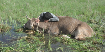 Tek geçim kaynağı bataklığa saplandı
