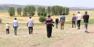 Çorum'da aslan iddiası ortalığı karıştırdı! Köylüler aslan avına çıktı!