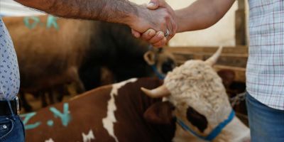 Kurban duası nedir? Kurban duası nasıl yapılır?