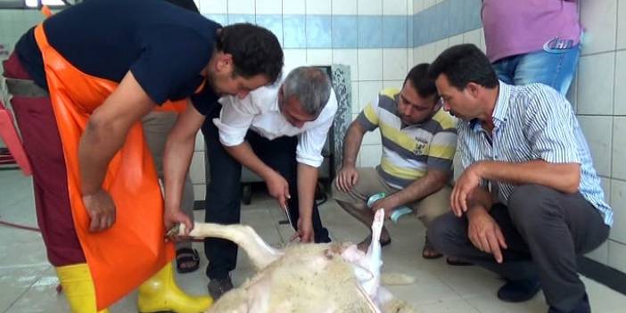 Kurban ne zamana kadar kesilir?