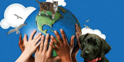 4 Ekim Dünya Hayvanları Koruma Günü nedir? Hayvan hakları nelerdir?