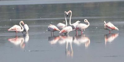 7 ildeki bazı bölgeler Cumhurbaşkanı Erdoğan'ın imzasıyla 