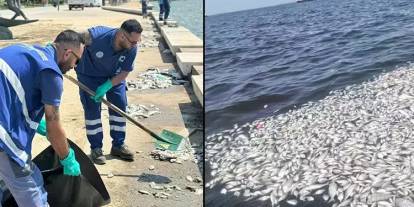 İzmirliler canından bezdi! Leş kokusundan evlerinin camlarını bile açamıyorlar