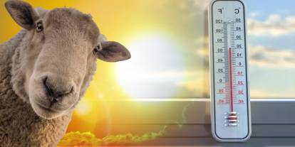 Meteoroloji son tahminlerini paylaştı: Kurban Bayramı'nda hava nasıl olacak?