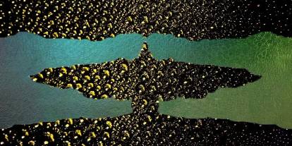 Kişilik testi: İlk gördüğünü söyle hafıza yapını ölç! İlk gördüğün timsah mı, kartal mı?