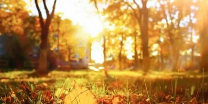 Pastırma yazı geliyor: Pastırma yazı nedir, ne zaman görülür, neden 'pastırma yazı' deniyor?