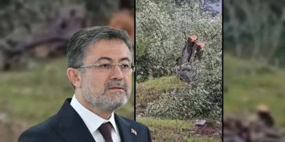 Bakan Yumaklı'dan sert tepki: '100 yıllık zeytin ağaçlarının kesilmesi CHP'lilere serbest mi?'