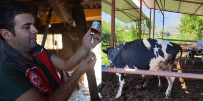 Kütahya'da şap alarmı: Tam 15 köy karantina altına alındı!