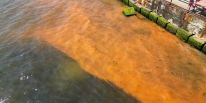 Marmara denizinde endişe yaratan görüntü: Turuncuya dönüşen deniz için uzmanlardan açıklama geldi...