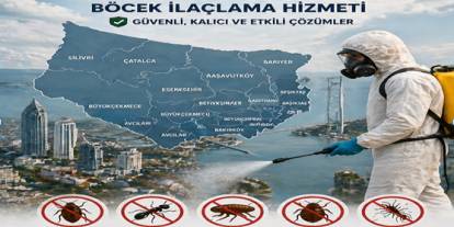 Avrupa Yakası Böcek İlaçlama Hizmeti: 2026 Güncel Rehber ve İlçe İlçe Profesyonel Çözümler