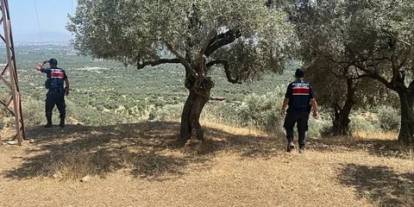 Valilikten kesin karar! O tarihler arasında 15 ilimizin ormanlarına girmek yasaklandı!