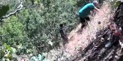 CHP'li başkan ve oğulu kenevir ekerken foto kapana yakalandı