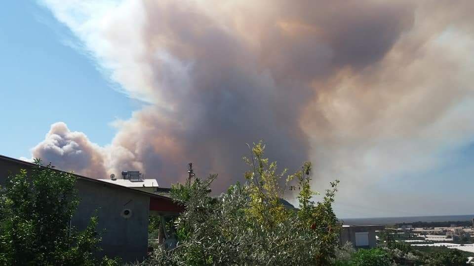 Antalya Kumluca'da ormanlık alanda orman yangını