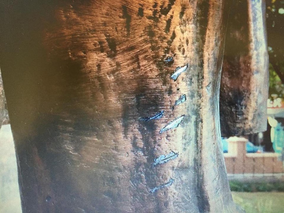 Tekirdağ'da Atatürk Anıtı'na baltalı saldırı!