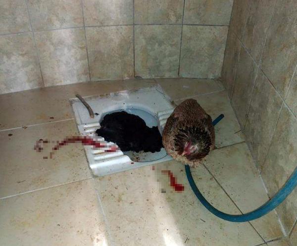 Mezarlık tuvaletinde şok | Biri kesilmiş diğeri kanlar içinde..