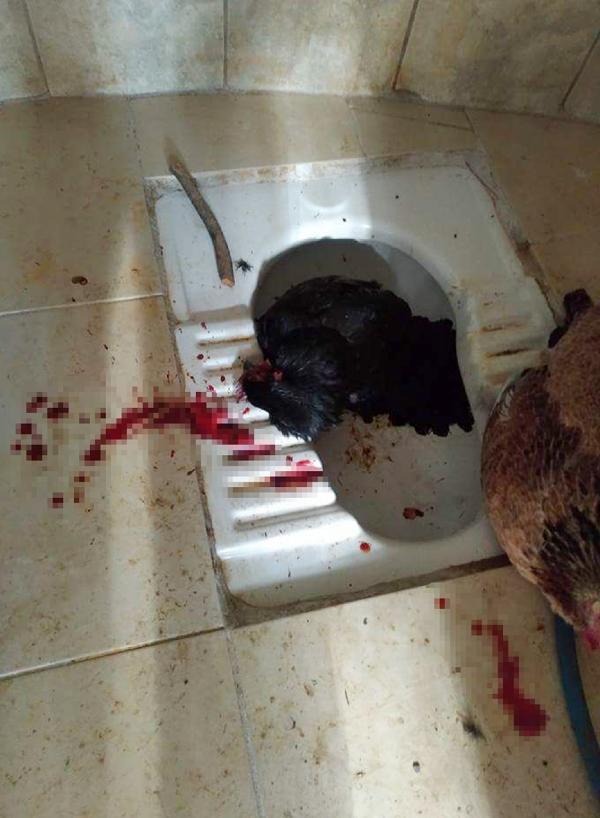 Mezarlık tuvaletinde şok | Biri kesilmiş diğeri kanlar içinde..