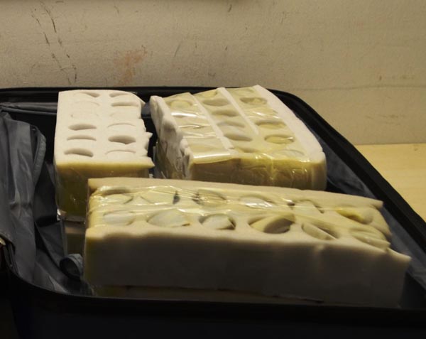 Atatürk Havalimanı'nda Bir Bavuldan 802 Ejderha Yumurtası Çıktı