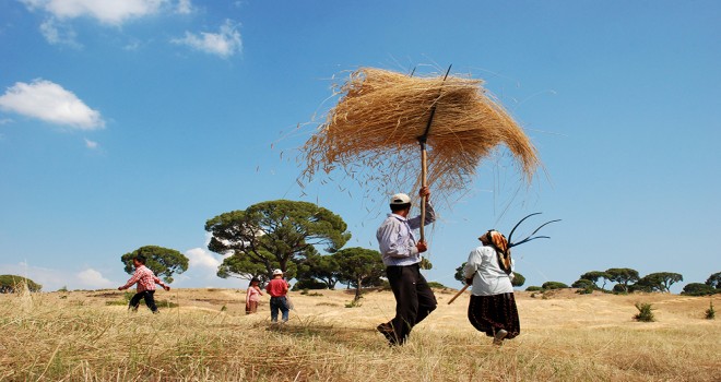 Dünya Çiftçiler Günü ne zaman? Dünya Çiftçiler Günü kutlama mesajları, sözleri