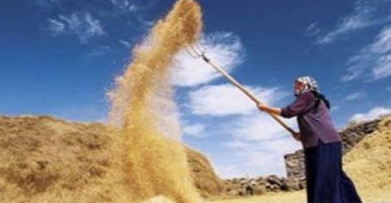 Dünya Çiftçiler Günü ne zaman? Dünya Çiftçiler Günü kutlama mesajları, sözleri