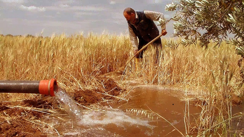 Dünya Çiftçiler Günü ne zaman? Dünya Çiftçiler Günü kutlama mesajları, sözleri