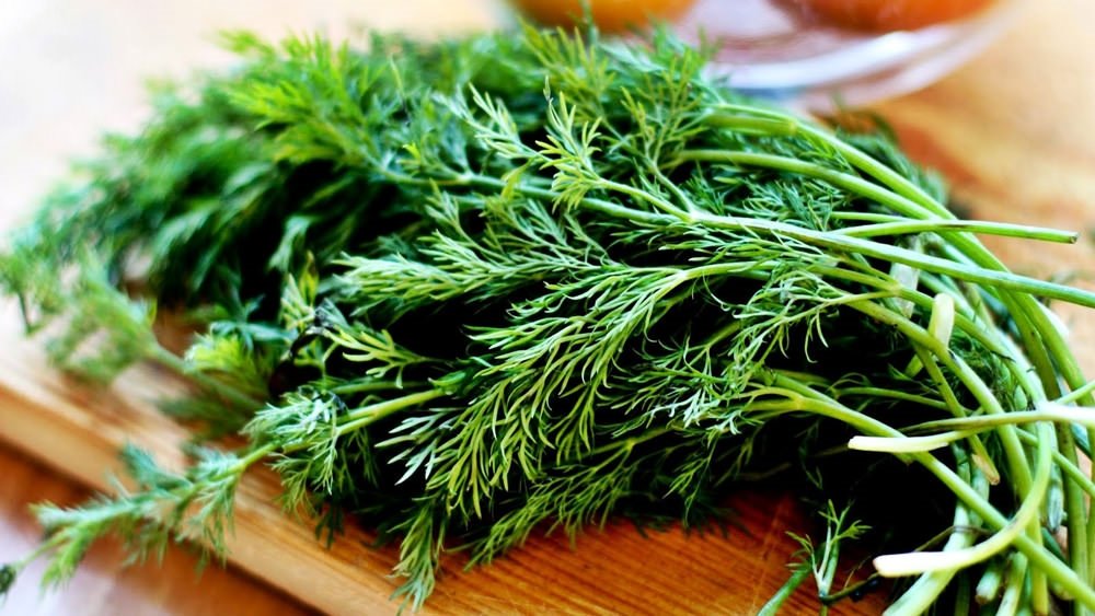 Belçim Bilgin ve Yılmaz Erdoğan çifti boşandı! Belçim Bilgin kimdir?