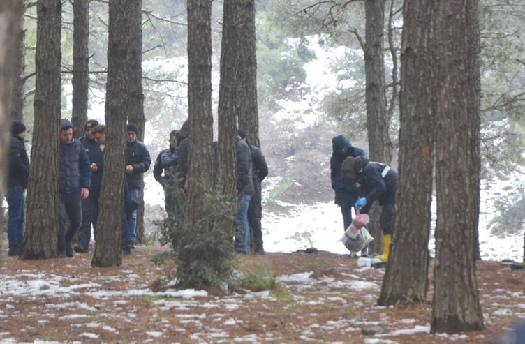 Parçalayarak ormana attılar