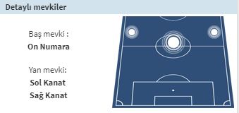 Hatem Ben Arfa kimdir? Hatem Ben Arfa nereli | Fenerbahçe Hatem Ben Arfa transferi