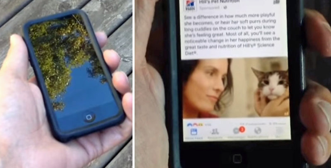 Ortalığı karıştıracak yeni teori: Telefonlar bizi dinlemiyor, izliyor