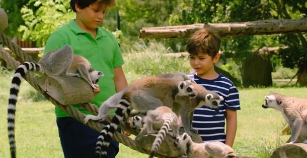 Salur Kazan filminin konusu nedir? Oyuncuları kimdir? Nerede ve kaç yılında çekildi?