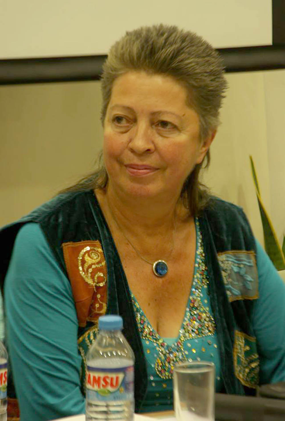 Nobel Barış Ödülü'ne aday gösterilen Gazeteci Sevgül Uludağ kimdir? Kaç yaşında?