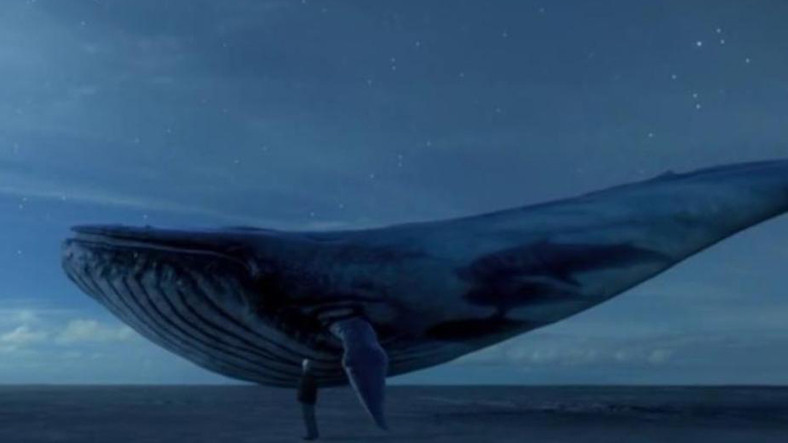 Sürpriz Yumurtadan Mavi Balina Çıktı Savcılığa Gitti