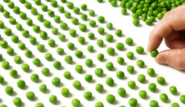 Obsesif nedir? Obsesif kompulsif bozukluk nedir?