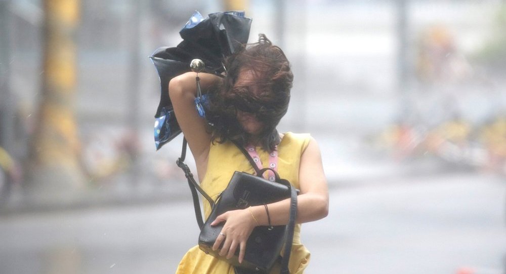 Kestane Karası Fırtına nedir | Neden Kestane Karası deniliyor