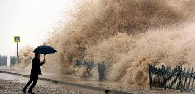 Kestane Karası Fırtına nedir | Neden Kestane Karası deniliyor