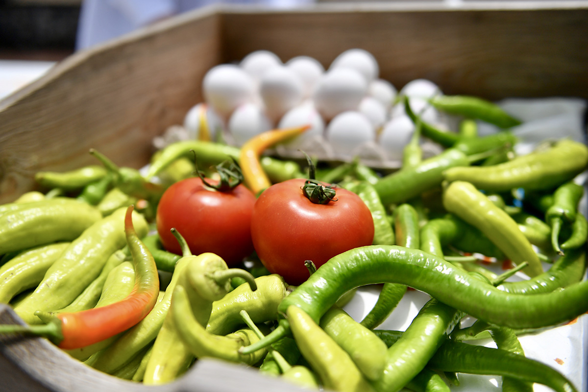 Üsküdar'da Torun Tombalak Şenliği'nde nine ve dedeler torunlarıyla bir arada