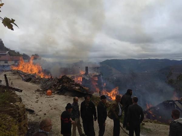 Kastamonu'da yangın: 8 ev, 1 ahır kül oldu!