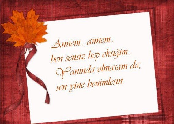 2019 Resimli anneler günü mesajları