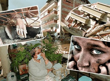 Evcil Hayvanların Gizli Yaşamı filminin konusu nedir? Filmin seslendirme kadrosu?