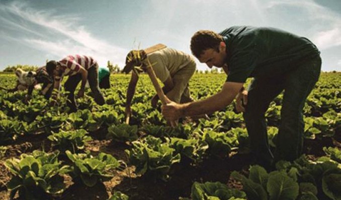 Dünya Çiftçiler Günü ne zaman? Dünya Çiftçiler Günü kutlama mesajları, sözleri