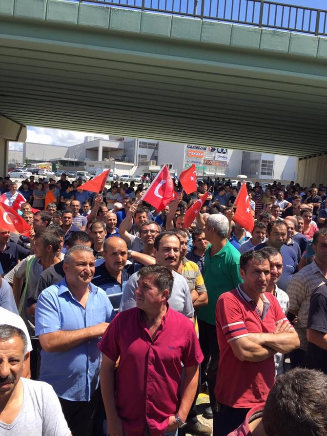 13729102_1646289992356914_2791540396243520483_n.jpg 13729102_1646289992356914_2791540396243520483_n.jpg