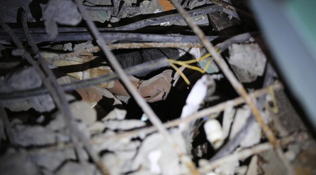 17 Ağustos 1999 Marmara Depreminden geriye kalan fotoğraflar, anı ve videolar