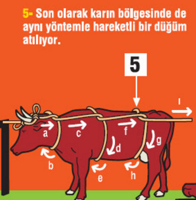 Kurbanlık nasıl yatırılır?