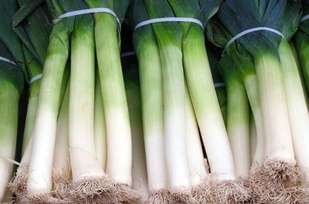 Pırasanın faydaları nelerdir, neye iyi gelir?