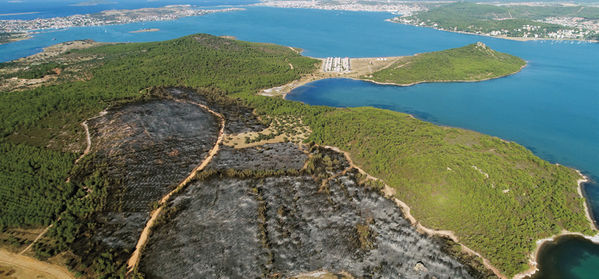 Bakan Eroğlu Ayvalık için yazdı, Haluk Levent seslendirecek
