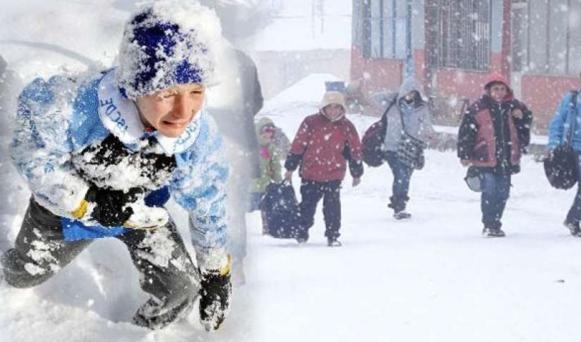 Muş'ta yarın okullar tatil mi? 17 Ocak kar tatili var mı?